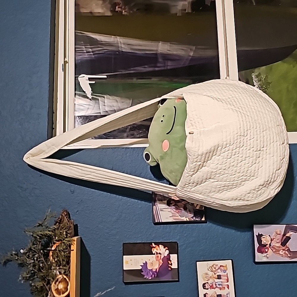 Bag